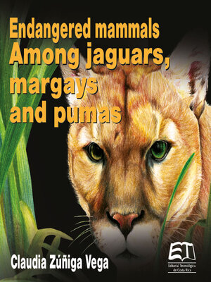 cover image of Endangered mammals. Among jaguars, margays and pumas